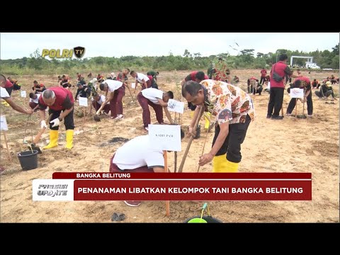 PRESISI UPDATE : POLDA BABEL TANAM BIBIT KAYU PUTIH DI LAHAN BEKAS TAMBANG 08/03/2024 20.00 (2/2)