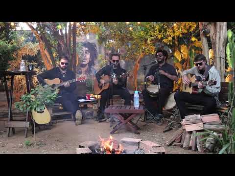 Mato Seco Raiz Forte (Versão: Ao Vivo)