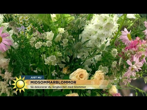 Så dekorerar du midsommarbordet med blommor - Nyhetsmorgon (TV4)