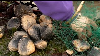 Grant's Getaways:  New Clam Maps