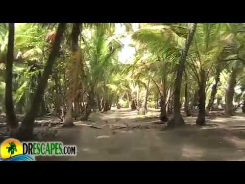 New State Park Beach Near Cabrera Dominican Republic