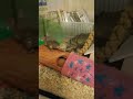 Stella Paige Exploring