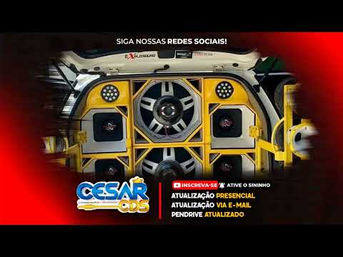 SELEÇÃO DE SWINGUEIRA 2024 - CARNAVAL 2024 PRA PAREDÃO