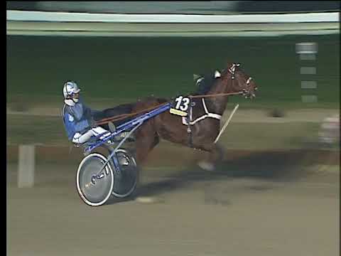 Trotto 19/01/2018 - 8ª corsa - TRIS