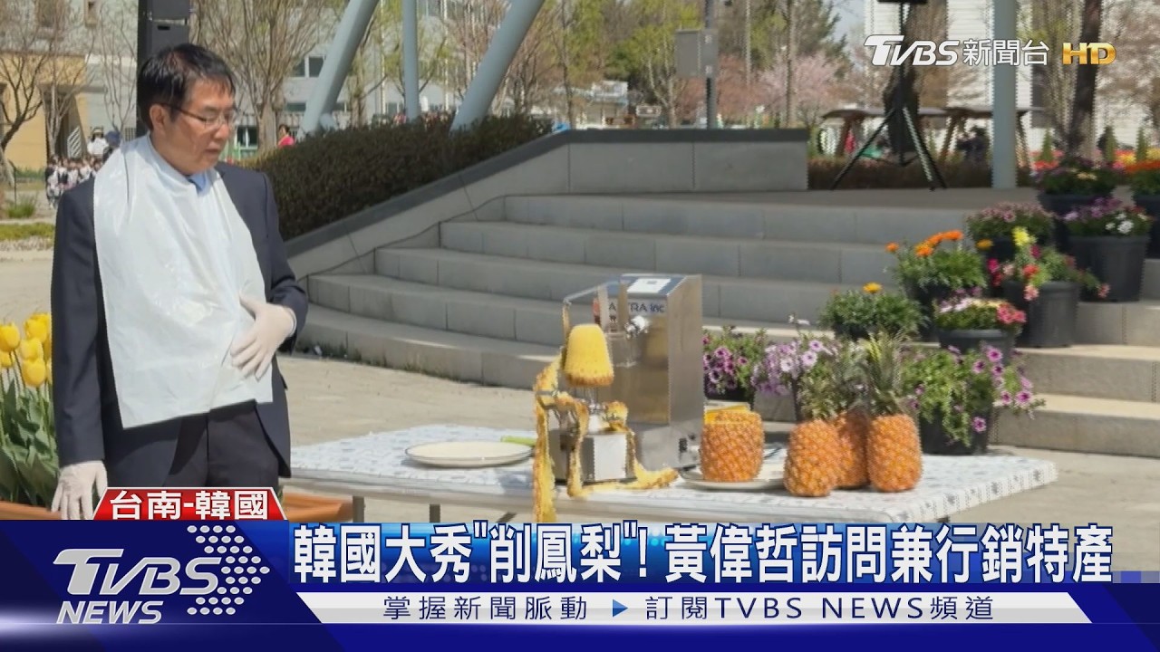 韓國參加「平澤花朵郊遊慶典」！　黃偉哲兼行銷台南鳳梨