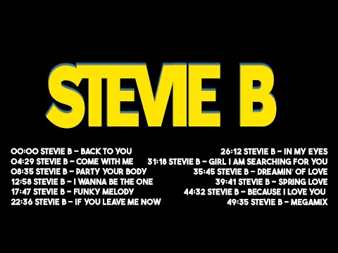 MELHOR DO FUNK MELODY STEVIE B