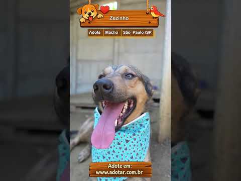 Vídeo de Zezinho