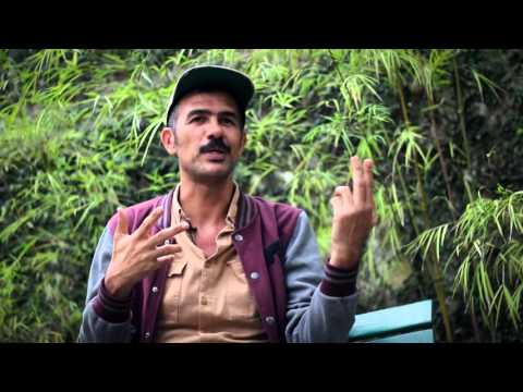 Curta! Dança - Gustavo Ciríaco