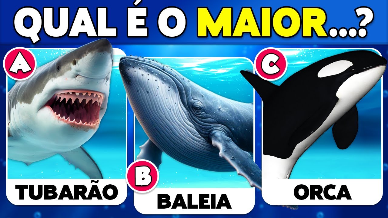 ✅ Quão bom é o seu Conhecimento Sobre ANIMAIS MARINHOS? 🐳🐬🐠 Quiz de Conhecimentos Gerais