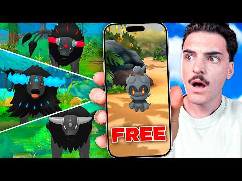 Watch This BEFORE the Stunning Styles Event!