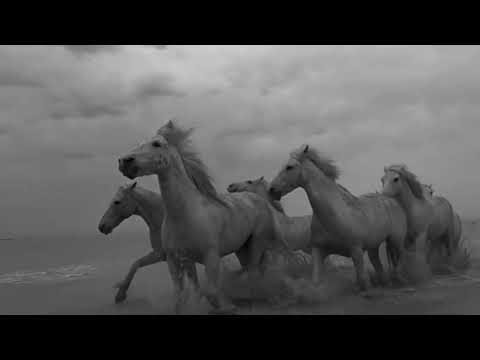 Ninetysix - Extra Energy (Official Video)