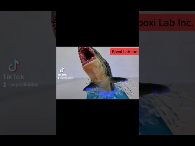 Vídeo relacionado con Lámpara de noche con forma de tiburón, resina epoxi, ballena jorobada, tiburón, lámpara subacuática con base de madera, decoración para el hogar y la oficina (Megalodon)