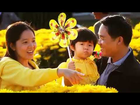 Cánh hoa ven đường - Đình Dương