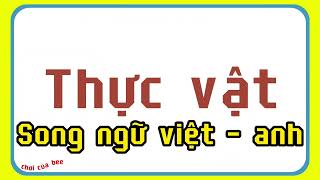 ​@OCHOICUABEE cách học thông minh, tên các loài thực vật, trái cây, song ngữ