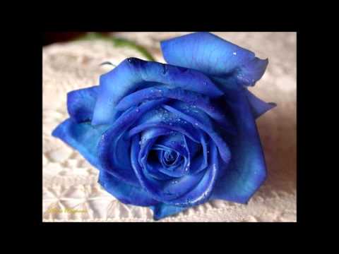 Gang Marcela Zlamano juz tyle serc / cover/