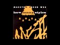 Maestro Fresh Wes How Many Styles LP Version