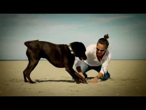 Earthborn holistic adult vantage dry dog food