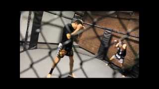 preview picture of video 'MMA Pelham | MMA Gyms in Pelham NY'