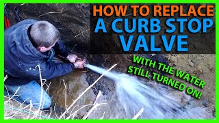preview picture of video 'How to Change a Curb Stop Valve Live'