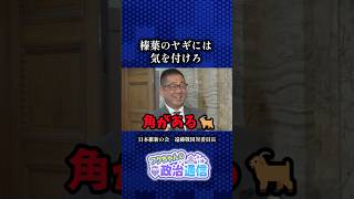 ほっこり国会🐕🐐榛葉＆遠藤 #国民民主党 #榛葉賀津也