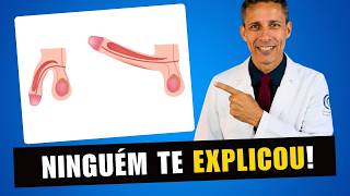 Seu Pênis Trabalha Enquanto Você Dorme (E Isso Importa!) - ESTUDO