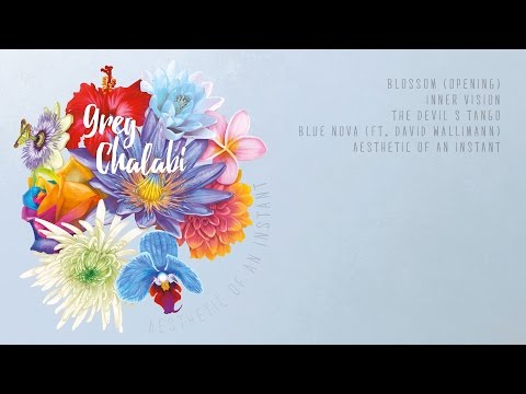 Greg Chalabi - Blossom (opening) - 2016