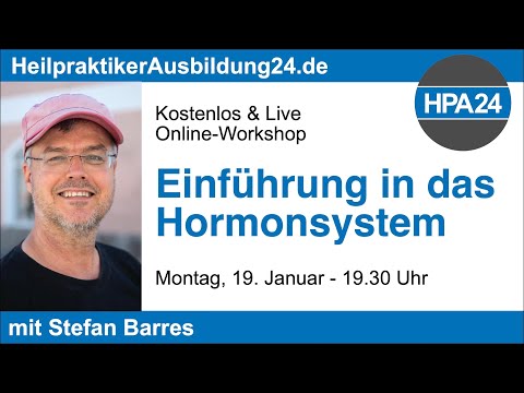 Einführung in das Hormonsystem