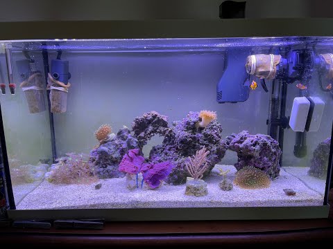 Морской аквариум Eheim aquastar 63 marine LED белый 63л скиммер, помпа, компрессор. - фото 1 - id-p1847533656
