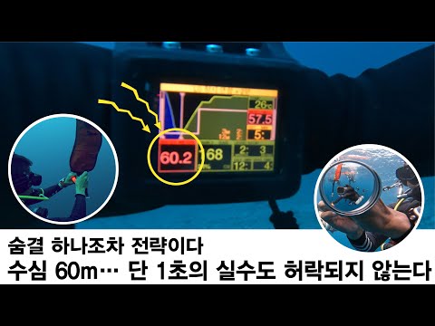 영상 미리보기