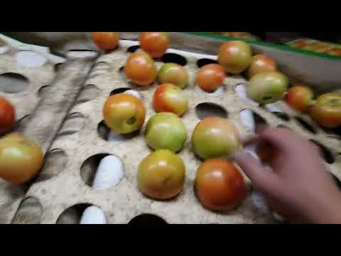 The Satisfying Science of Tomato Packing