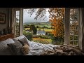 Relaxing Fall Rain In Ireland ️Calm Rain Ambience For Reading Sleeping Etc