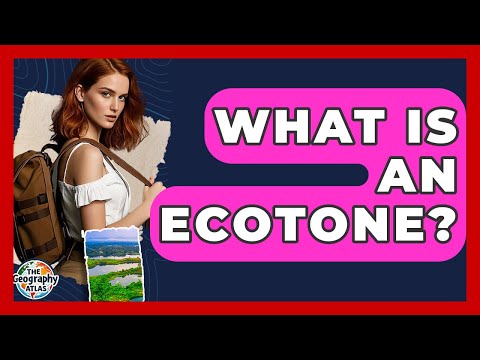 What Is An Ecotone? - The Geography Atlas