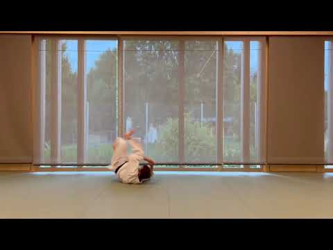 Aikido Ukemi Practice  10 Mae Ukemi Variations