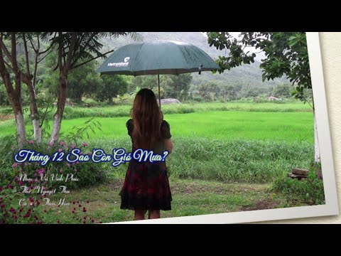 Tháng 12 sao còn gió mưa? - Thái Hòa