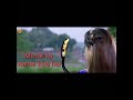 Nagraj Movie Bhojpuri Best Scene Kr Krishna