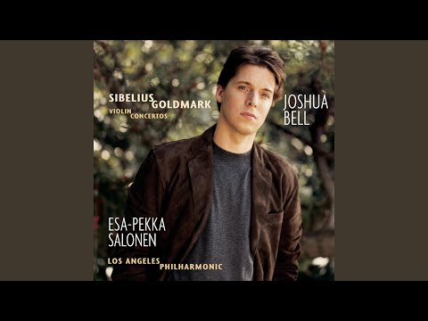 Violin Concerto in D Minor, Op. 47: I. Allegro moderato