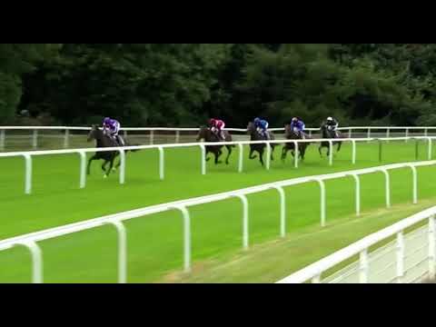 BAAEED A PERFECT 10/10! 2022 JUDDMONTE INTERNATIONAL STAKES (G1) | YORK RACES |
