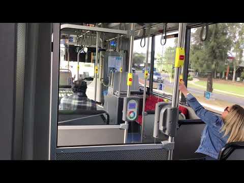 Busabout Sydney: m/o 8061 - Mercedes OC500LE Custom Endeavour