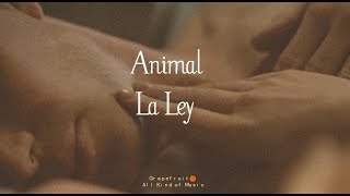 Animal - La Ley [letra - lyrics] HQ 🍊