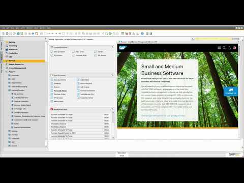 15 Minute Fundamentals for SAP Business One - Reporting Basics