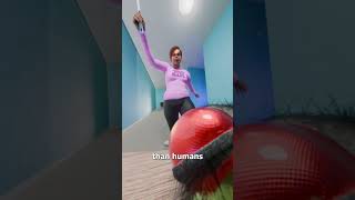 Download lagu Can A Fly Dodge A Bullet? 🤔 mp3