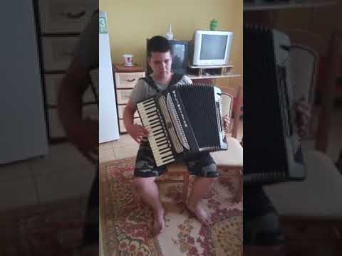 Verdes Raul Vlad la acordeon