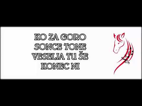 Ansambel DIVJA KRI - PLES NA VESELICI