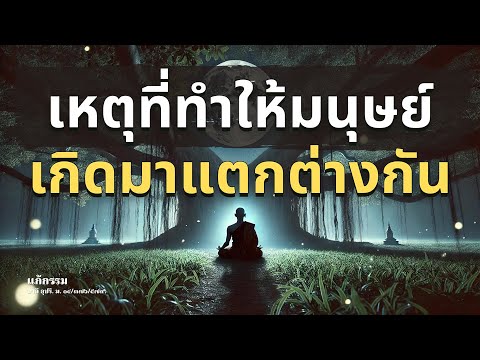 ເຫດທີ່ເຮັດໃຫ້ມະນຸດເກີດມາເເຕກຕ່າງກັນ