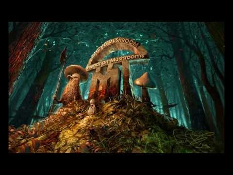 Infected Mushroom - Friends On Mushrooms Vol. 2 [HQ] Full EP