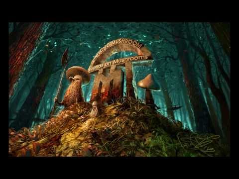 Infected Mushroom - Friends On Mushrooms Vol. 2 [HQ] Full EP