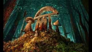 Infected Mushroom - Friends On Mushrooms Vol. 2 [HQ] Full EP