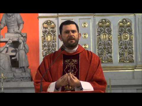 Homilia Ks. Carlosa 29.06.2014 - Pożegnanie - UROCZYSTOŚĆ ŚWIĘTYCH APOSTOŁÓW PIOTRA I PAWŁA