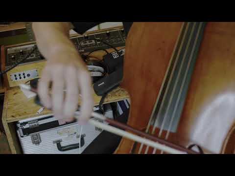 Maarten Vos - Study 2