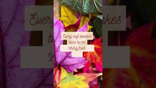 Autumn Colors | Relaxing Autumn Video | Autumn Quotes